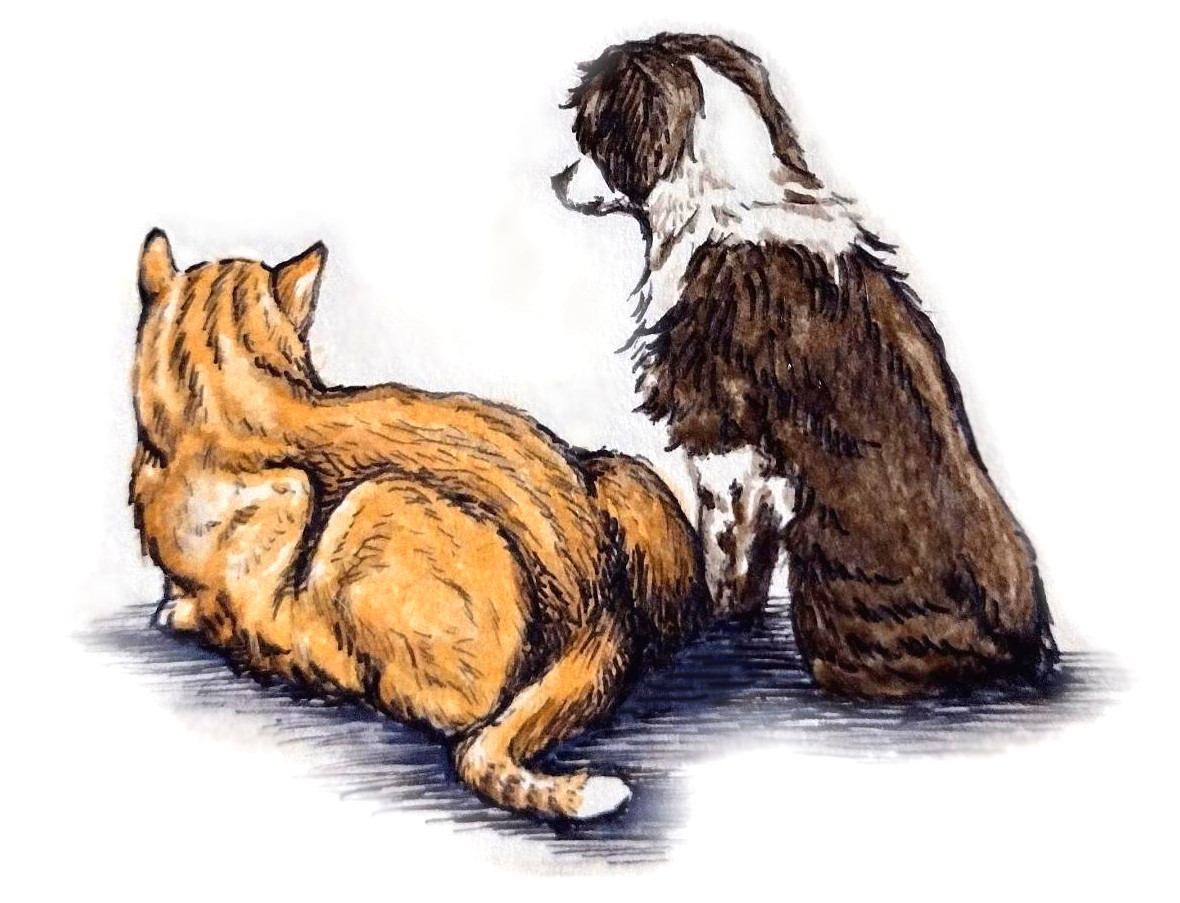 dog & cat