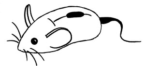 computer mouse